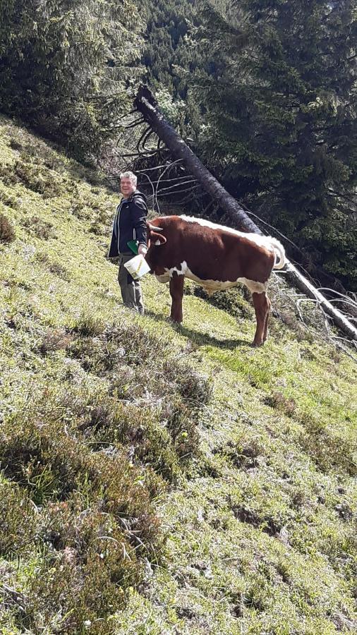 Wiesingbauer Saalfelden Exteriér fotografie