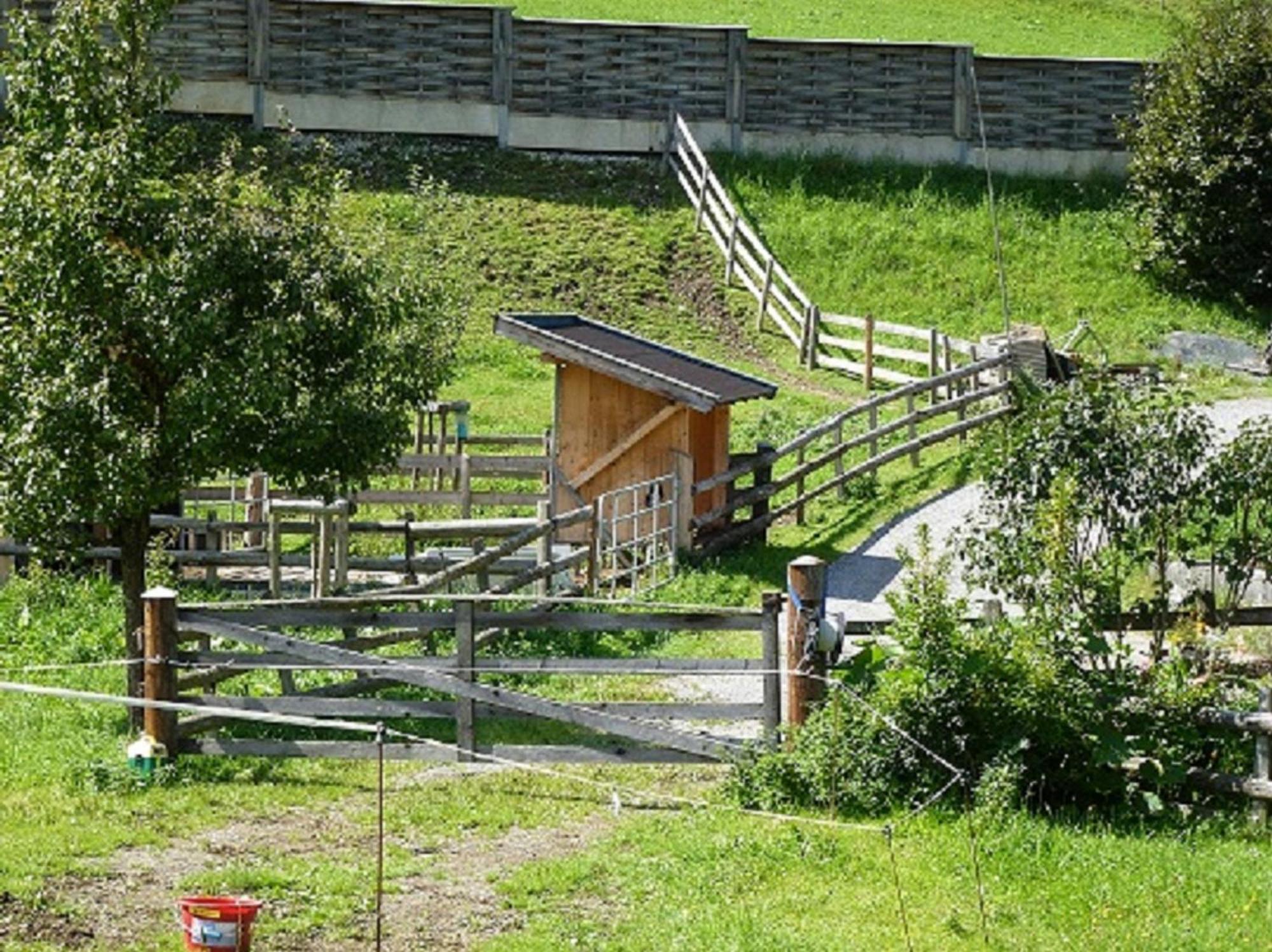 Wiesingbauer Saalfelden Exteriér fotografie